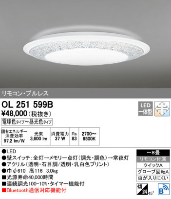 ODELIC �����ǥ�å� ������󥰥饤�� OL251599B ñ�ʲ���