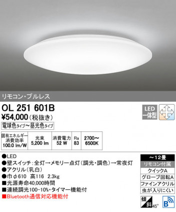 ODELIC �����ǥ�å� ������󥰥饤�� OL251601B ñ�ʲ���