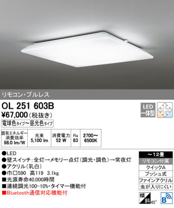 ODELIC �����ǥ�å� ������󥰥饤�� OL251603B ñ�ʲ���