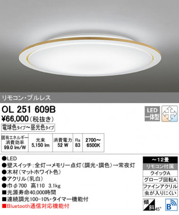 ODELIC ǥå 󥰥饤 OL251609B ñʲ