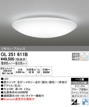 ODELIC �����ǥ�å� ������󥰥饤�� OL251611B ñ�ʲ���