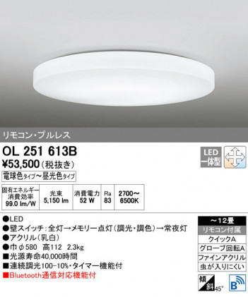 ODELIC ǥå 󥰥饤 OL251613B ñʲ