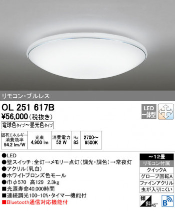 ODELIC �����ǥ�å� ������󥰥饤�� OL251617B ñ�ʲ���