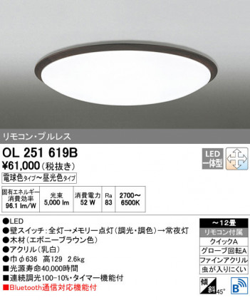 ODELIC �����ǥ�å� ������󥰥饤�� OL251619B ñ�ʲ���