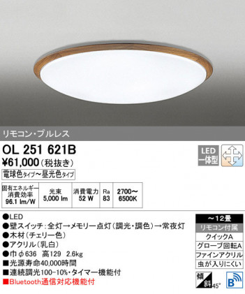 ODELIC �����ǥ�å� ������󥰥饤�� OL251621B ñ�ʲ���