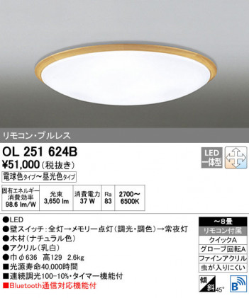 ODELIC �����ǥ�å� ������󥰥饤�� OL251624B ñ�ʲ���