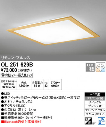 ODELIC �����ǥ�å� ������󥰥饤�� OL251629B ñ�ʲ���