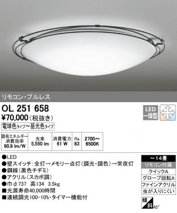 ODELIC �����ǥ�å� ������󥰥饤�� OL251658 ñ�ʲ���