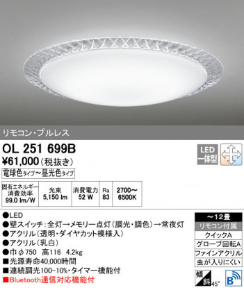 ODELIC �����ǥ�å� ������󥰥饤�� OL251699B ñ�ʲ���