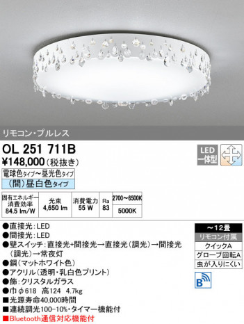 ODELIC ǥå 󥰥饤 OL251711B ñʲ