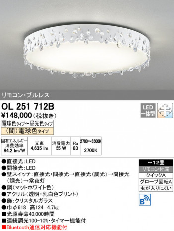 ODELIC ǥå 󥰥饤 OL251712B ñʲ