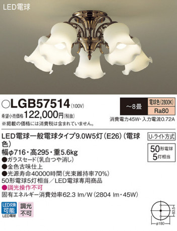 Panasonic LED �����ǥꥢ LGB57514 �ᥤ��̿�