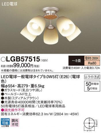 Panasonic LED �����ǥꥢ LGB57515 �ᥤ��̿�