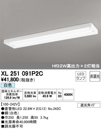 ODELIC �����ǥ�å� �١����饤�� XL251091P2C �ᥤ��̿�