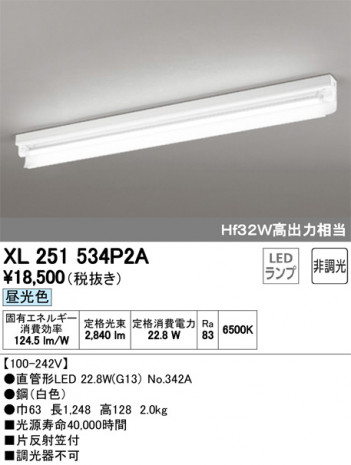 ODELIC �����ǥ�å� �١����饤�� XL251534P2A �ᥤ��̿�