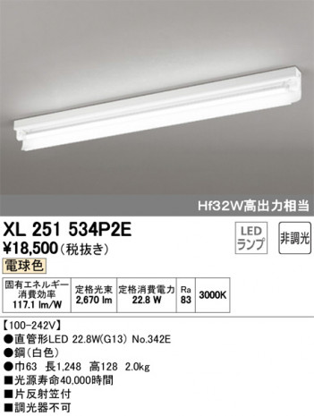 ODELIC �����ǥ�å� �١����饤�� XL251534P2E �ᥤ��̿�