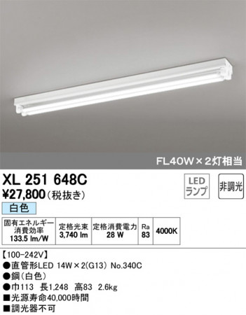 ODELIC �����ǥ�å� �١����饤�� XL251648C �ᥤ��̿�