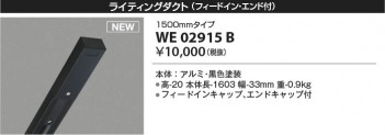 β Koizumi ߾ 饤ƥ󥰥(եɥ󡦥ա WE02915B