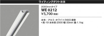 β Koizumi ߾ 饤ƥ󥰥 WE0212