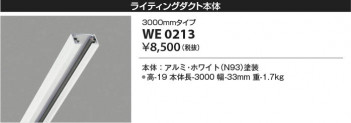 β Koizumi ߾ 饤ƥ󥰥 WE0213