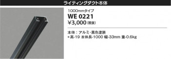 β Koizumi ߾ 饤ƥ󥰥 WE0221