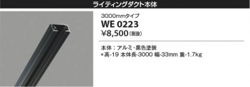 β Koizumi ߾ 饤ƥ󥰥 WE0223
