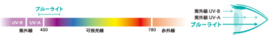 380nm495nm(ʥΥ᡼ȥ)