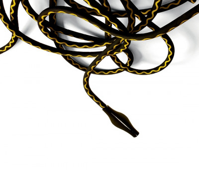 Alizz C. Cooper INGO MAURER