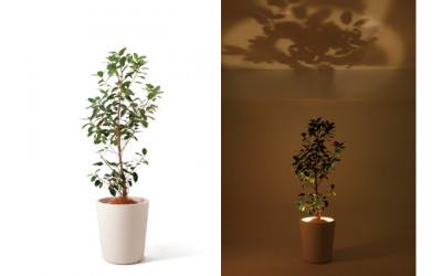 forestarium(ե쥹ꥦ)