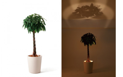 forestarium(ե쥹ꥦ)