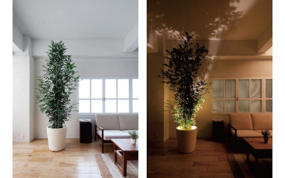 forestarium(ե쥹ꥦ)