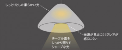 ʥ롦˥ƽΥǥڥMEDUSE ѥʥ˥å