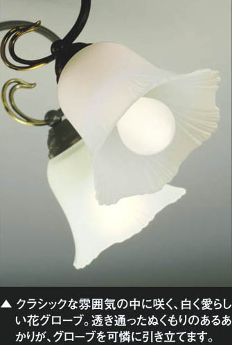 コイズミ照明 KOIZUMI イルムシャンデリア AAN685059 | 商品紹介 