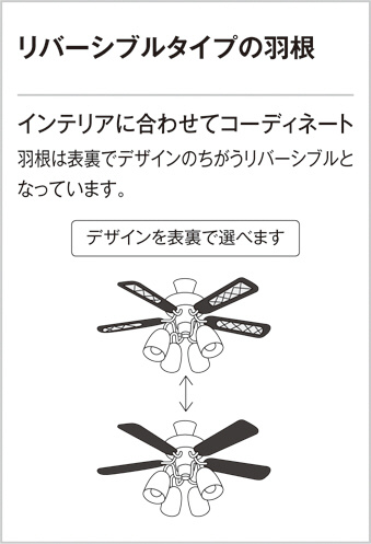ODELIC オーデリック シーリングファン WF683P1 | 商品紹介 | 照明器具 