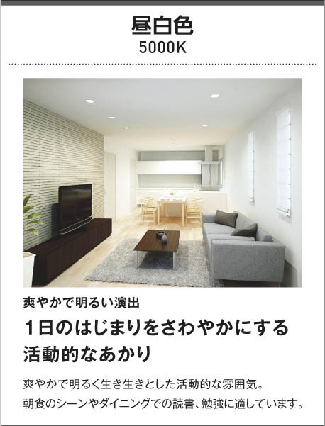 KOIZUMI コイズミ照明 流し元灯 AB46900L | 商品紹介 | 照明器具の通信 