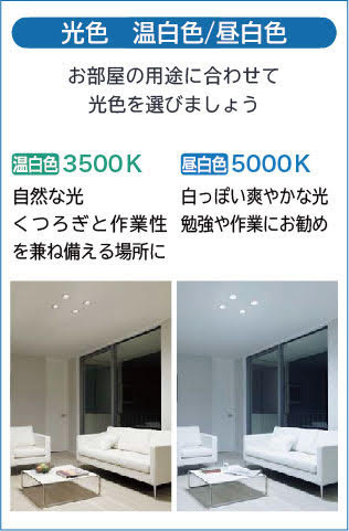 DAIKO 大光電機 ダウンライト(軒下兼用) DDL-6104WW | 商品紹介 | 照明 