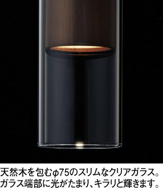 ODELIC オーデリック ペンダントライト OP252902LR | 商品紹介 | 照明 