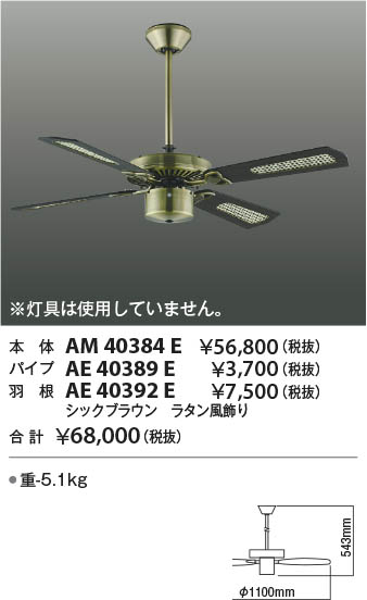 Koizumi コイズミ照明 インテリアファン本体 AM40384E | 商品紹介 
