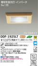 DAIKO ָ饤 DDF-1925LT