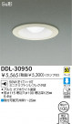 DAIKO 饤 DDL-30950