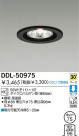 DAIKO 饤 DDL-50975