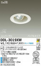 DAIKO ŵ ˥С 饤 DDL-3019XW