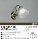 KOIZUMI ��Ǯ���֥饱�å� ABE545170