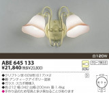 KOIZUMI Ǯ֥饱å ABE645133