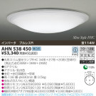 KOIZUMI ָ AHN538450