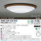 KOIZUMI ָ AHN539229