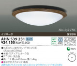 KOIZUMI ָ AHN539231