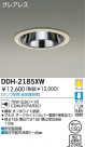 DAIKO HID������饤�� DDH-2185XW