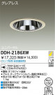 DAIKO HID��˥С����������饤�� DDH-2186XW