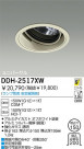 DAIKO HID��˥С����������饤�� DDH-2517XW